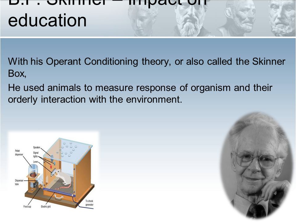 How to evaluate operant conditioning theory in a school